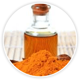 Turmeric CO2 Oil - Pansari Biotech